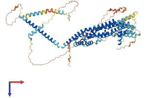AlphaFold protein structure predicition of Mouse Recombinant Gcfc2 Protein, UniprotID Q8BKT3