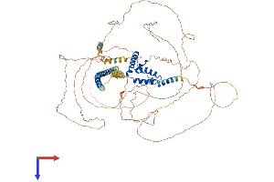AlphaFold protein structure predicition of Mouse Recombinant Sox6 Protein, UniprotID P40645