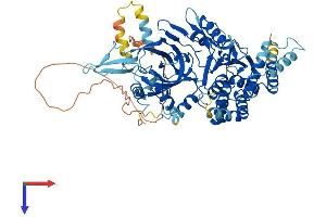 AlphaFold protein structure predicition of Mouse Recombinant Mcmbp Protein, UniprotID Q8R3C0