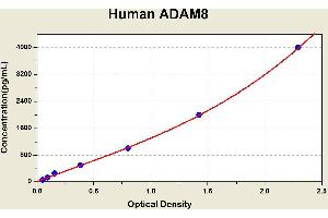ADAM Metallopeptidase Domain 8 (ADAM8) ELISA Kit