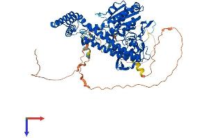 AlphaFold protein structure predicition of Human Recombinant PCIF1 Protein, UniprotID Q9H4Z3