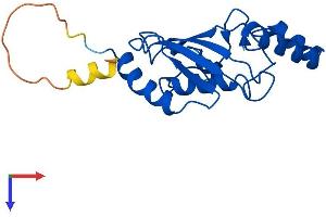AlphaFold protein structure predicition of Mouse Recombinant Ube2f Protein, UniprotID Q9CY34