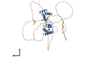 AlphaFold protein structure predicition of Human Recombinant POU2F3 Protein, UniprotID Q9UKI9