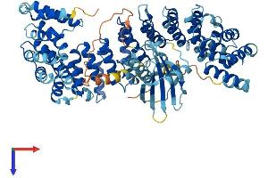 AlphaFold protein structure predicition of Mouse Recombinant Ap4b1 Protein, UniprotID Q9WV76