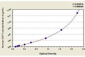 Typical standard curve (CST1 Kit ELISA)