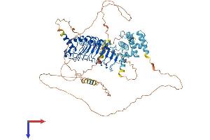 AlphaFold protein structure predicition of Human Recombinant LRCH4 Protein, UniprotID O75427