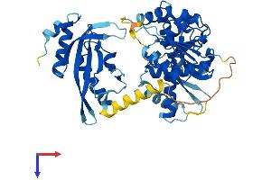 AlphaFold protein structure predicition of Human Recombinant UEVLD Protein, UniprotID Q8IX04