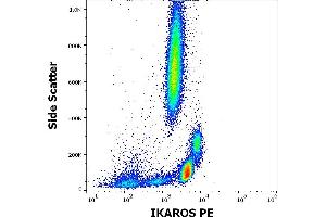 Flow cytometry intracellular staining pattern of human peripheral whole blood stained using anti-Ikaros (4E9) PE antibody (10 μL reagent / 100 μL of peripheral whole blood). (IKZF1 anticorps  (C-Term) (PE))