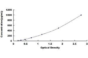 Typical standard curve