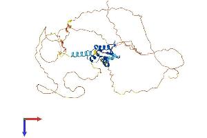 AlphaFold protein structure predicition of Human Recombinant ETV4 Protein, UniprotID P43268
