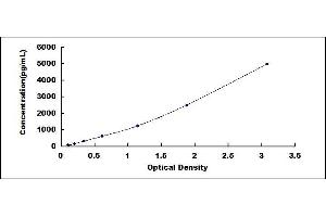 Typical standard curve (NT-ProBNP Kit ELISA)