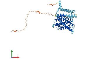 AlphaFold protein structure predicition of Human Recombinant SLC35E4 Protein, UniprotID Q6ICL7