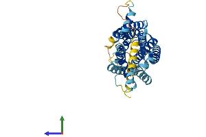 AlphaFold protein structure predicition of Human Recombinant GPR15 Protein, UniprotID P49685