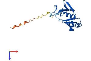 AlphaFold protein structure predicition of Human Recombinant GLOD5 Protein, UniprotID A6NK44