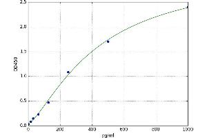 Calcitonin-Related Polypeptide beta (CALCB) ELISA Kit