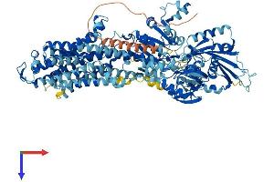 AlphaFold protein structure predicition of Human Recombinant ATP12A Protein, UniprotID P54707