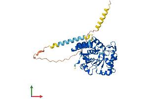 AlphaFold protein structure predicition of Human Recombinant ST8SIA6 Protein, UniprotID P61647