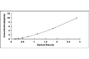Typical standard curve (MMP19 Kit ELISA)