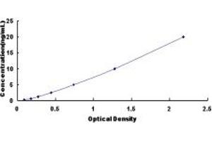 Typical standard curve (FOXA2 Kit ELISA)