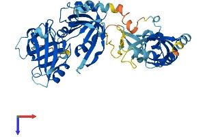 AlphaFold protein structure predicition of Mouse Recombinant Meiob Protein, UniprotID Q9D513