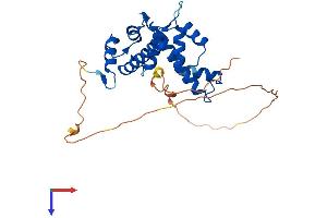 AlphaFold protein structure predicition of Human Recombinant PEF1 Protein, UniprotID Q9UBV8