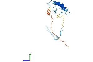 AlphaFold protein structure predicition of Mouse Recombinant Chchd4 Protein, UniprotID Q8VEA4