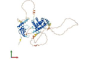 AlphaFold protein structure predicition of Human Recombinant MSL3 Protein, UniprotID Q8N5Y2