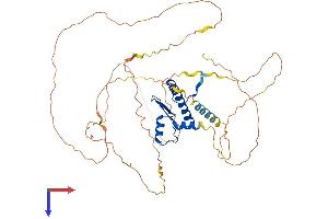 AlphaFold protein structure predicition of Mouse Recombinant Mef2c Protein, UniprotID Q8CFN5