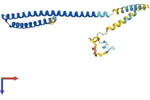 AlphaFold protein structure predicition of Mouse Recombinant Chmp5 Protein, UniprotID Q9D7S9