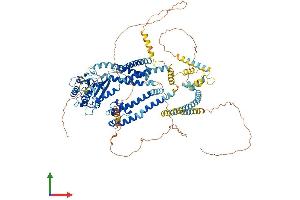 AlphaFold protein structure predicition of Mouse Recombinant Pkd2 Protein, UniprotID O35245