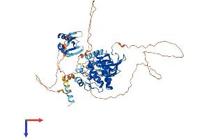 AlphaFold protein structure predicition of Mouse Recombinant Map3k2 Protein, UniprotID Q61083