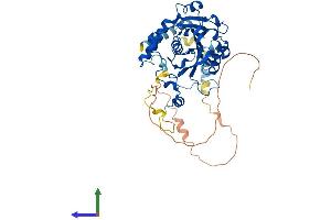 AlphaFold protein structure predicition of Human Recombinant METTL14 Protein, UniprotID Q9HCE5