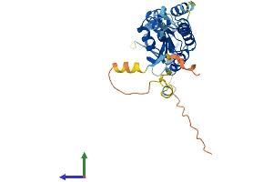 AlphaFold protein structure predicition of Mouse Recombinant Kctd10 Protein, UniprotID Q922M3