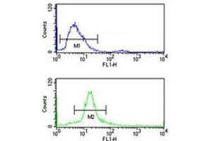SSB antibody flow cytometry analysis of 293 cells (bottom histogram) compared to a negative control cell (top histogram).