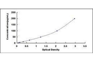 Cathepsin G (CTSG) ELISA Kit