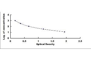 Typical standard curve (INHBB Kit ELISA)