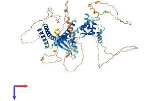 AlphaFold protein structure predicition of Mouse Recombinant Ell2 Protein, UniprotID Q3UKU1