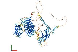 AlphaFold protein structure predicition of Mouse Recombinant Esyt2 Protein, UniprotID Q3TZZ7