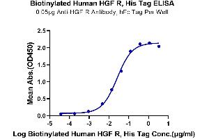 Immobilized Anti-HGF R Antibody, hFc Tag at 0.