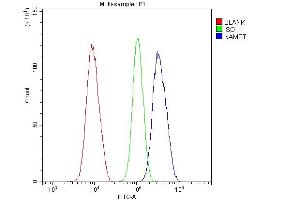 Flow Cytometry analysis of U20S cells using anti-Visfatin antibody (ABIN4886677). (NAMPT anticorps  (AA 62-337))