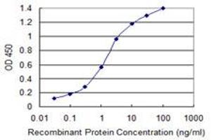 Detection limit for recombinant GST tagged LASS4 is 0. (LASS4 anticorps  (AA 57-139))