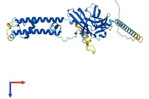 AlphaFold protein structure predicition of Mouse Recombinant Kcnj8 Protein, UniprotID P97794