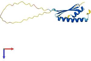 AlphaFold protein structure predicition of Human Recombinant LAGE3 Protein, UniprotID Q14657