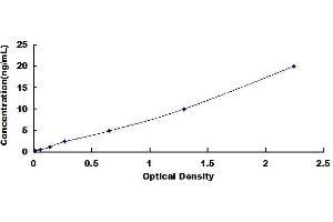 Typical standard curve (Claudin 5 Kit ELISA)