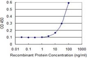 Detection limit for recombinant GST tagged ENAH is 3 ng/ml as a capture antibody.