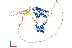 AlphaFold protein structure predicition of Mouse Recombinant Pou6f1 Protein, UniprotID Q07916