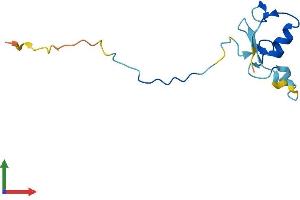 AlphaFold protein structure predicition of Human Recombinant RBX1 Protein, UniprotID P62877