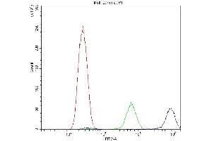 Flow Cytometry analysis of U20S cells using anti-Calpastatin antibody (ABIN4886503). (Calpastatin anticorps  (Middle Region))