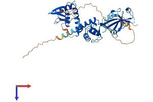 AlphaFold protein structure predicition of Mouse Recombinant Deptor Protein, UniprotID Q570Y9