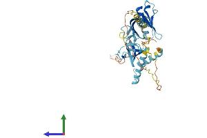AlphaFold protein structure predicition of Mouse Recombinant Skap1 Protein, UniprotID Q3UUV5